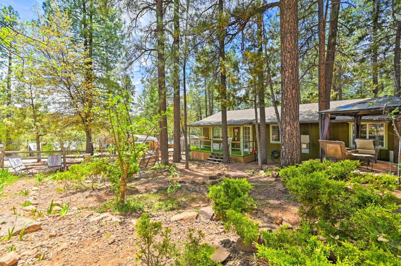 Pine Cabin In The Woods With Yard And Grill! Buitenkant foto